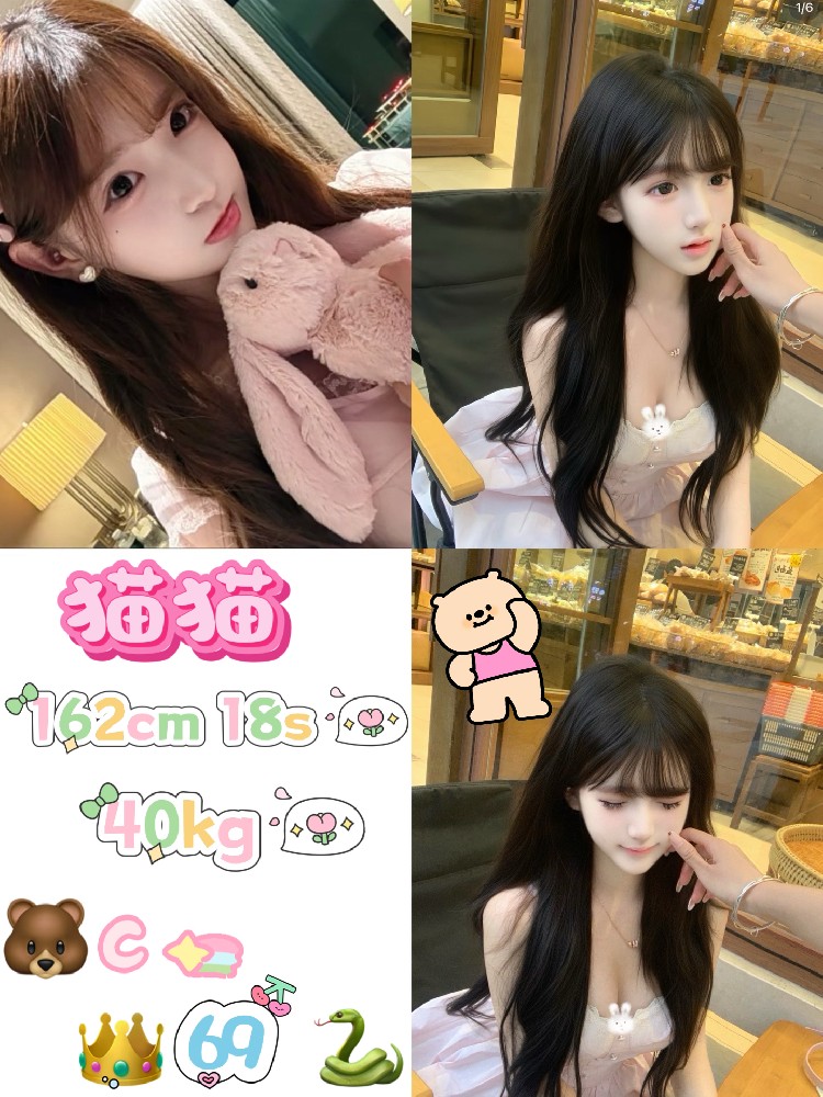 猫猫