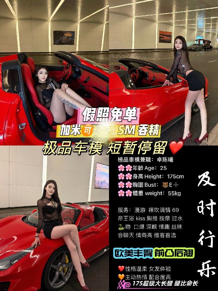 卓陈曦